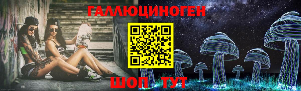купить закладку  Галлюциногенные грибы GOLDEN TEACHER  Вход с VPN  Донецк 